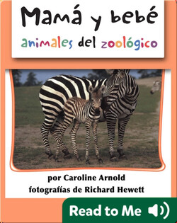 Mamá y bebé animales del zoológico