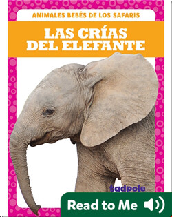 Las crías del elefante (Elephant Calves)