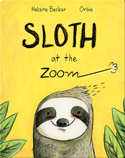 Sloth at the Zoom