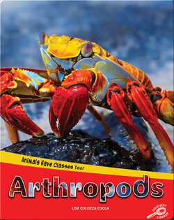 Animals Have Classes Too!: Arthropods