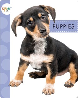 Baby Farm Animals: Puppies