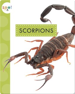 Creepy Crawlies: Scorpions