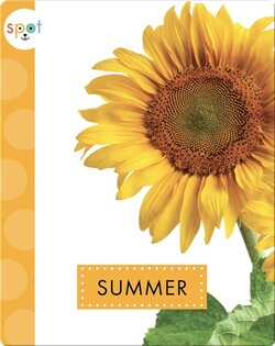 Seasons: Summer