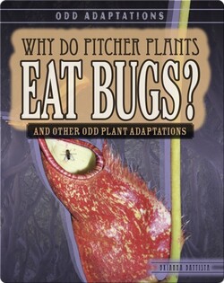 Why Do Pitcher Plants Eat Bugs? And Other Odd Plant Adaptations