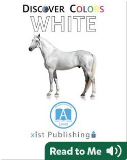 Discover Colors: White