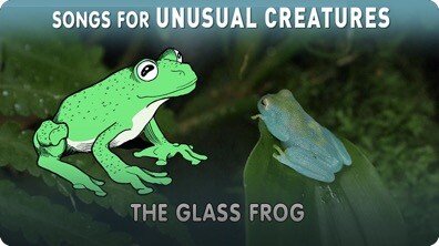 Songs for Unusual Creatures: The Glass Frog