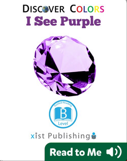 Discover Colors: I See Purple
