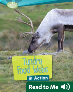 Tundra Food Webs in Action
