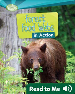 Forest Food Webs in Action