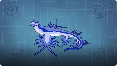 I’m A Blue Dragon Fish
