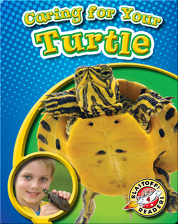 Caring For Your Turtle: Pet Care Library