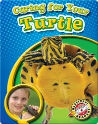Caring For Your Turtle: Pet Care Library