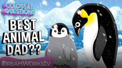 Who’s the Best Dad in the Animal Kingdom? | COLOSSAL QUESTIONS