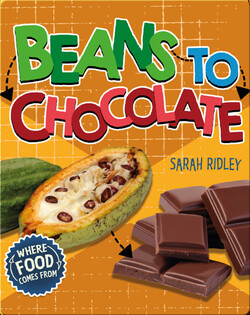Where Food Comes From: Beans to Chocolate
