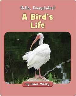 Hello, Everglades!: A Bird's Life