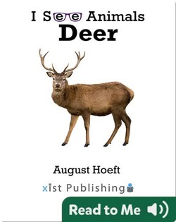 I See Animals: Deer