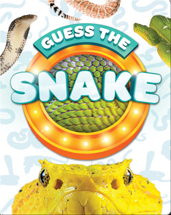 Guess the Snake