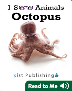 I See Animals: Octopus