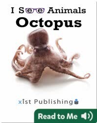 I See Animals: Octopus