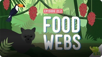 Crash Course Kids: Food Webs