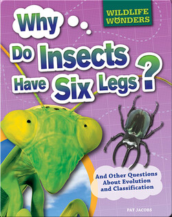 Wildlife Wonders: Why Do Insects Have Six Legs?