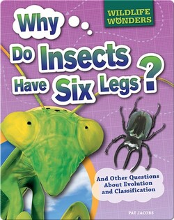 Wildlife Wonders: Why Do Insects Have Six Legs?
