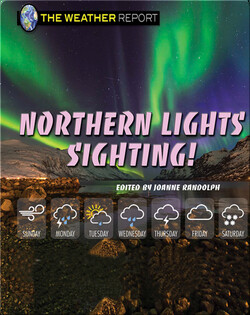Northern Lights Sighting!