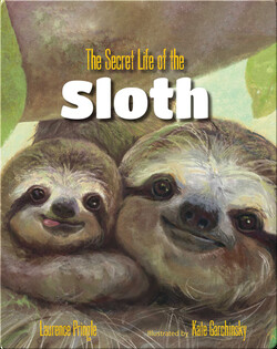 The Secret Life of the Sloth