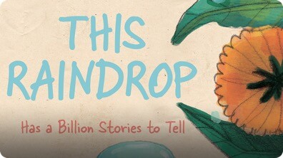 This Raindrop: Has a Billion Stories to Tell