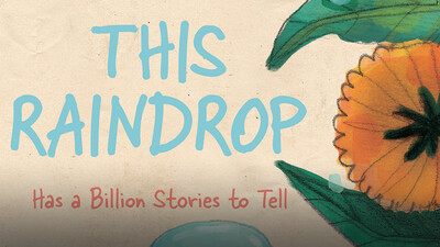This Raindrop: Has a Billion Stories to Tell