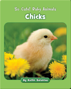 So Cute! Baby Animals Chicks