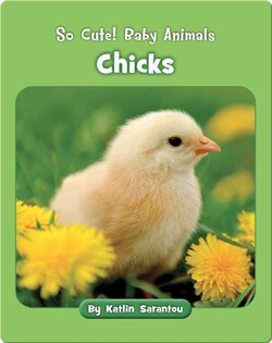 So Cute! Baby Animals Chicks