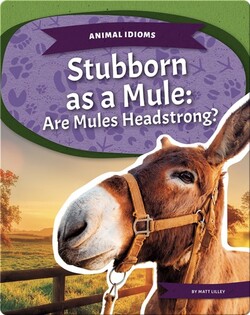 Stubborn as a Mule: Are Mules Headstrong?