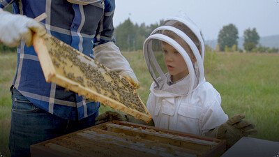 I Love: Beekeeping