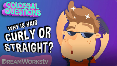 Colossal Questions: Why is Hair Curly or Straight?