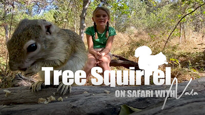 On Safari With Nala: Tree Squirrels