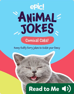 Animal Jokes: Comical Cats!