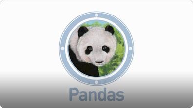 Amazing Animals: Pandas