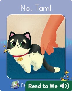 No, Tam