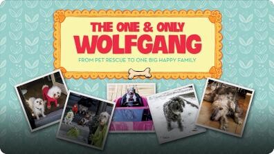 The One and Only Wolfgang