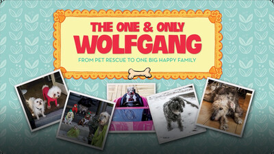 The One and Only Wolfgang