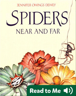 Spiders Near and Far