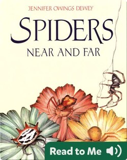 Spiders Near and Far