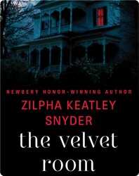The Velvet Room book