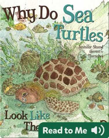 Why Do Sea Turtles Look Like They Are Crying? book