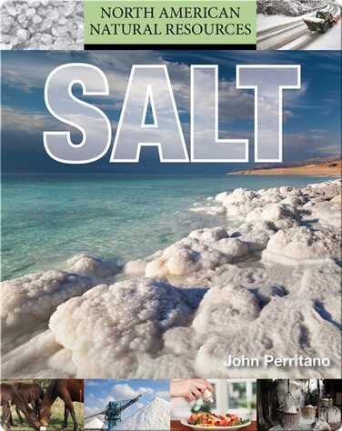 Salt book