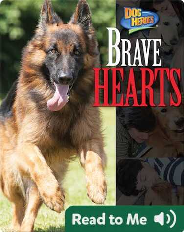 Brave Hearts book