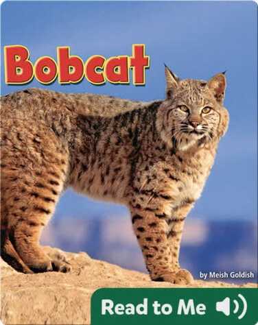 Bobcat book