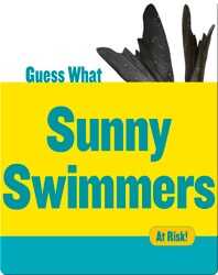 Sunny Swimmers book