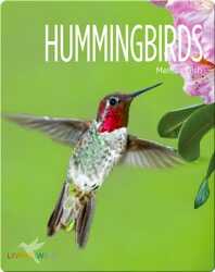 Hummingbirds book